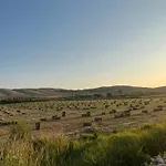 Apartment Anica - Island Pag